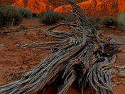 Arches National Park