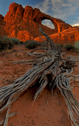 Arches National Park