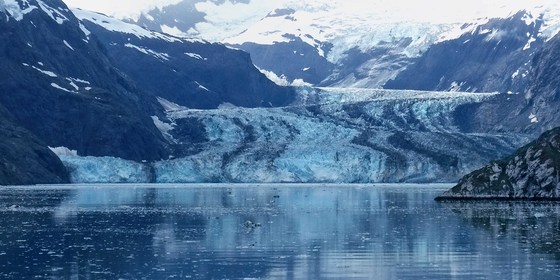 Glacier Bay NP & Pres
