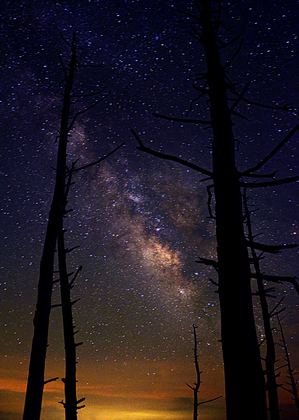 The Great Smoky Mountains National Park