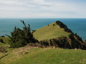 Siuslaw National Forest