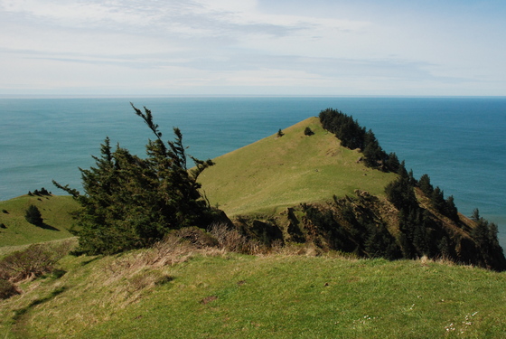 Siuslaw National Forest