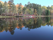 BWCA