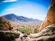 Joshua Tree National Park 