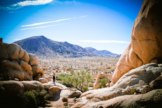 Joshua Tree National Park 