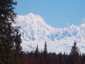 Denali National Park