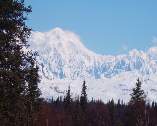 Denali National Park
