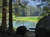 Kings Canyon National Park
