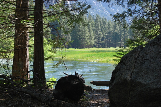 Kings Canyon National Park