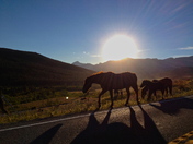 Glacier National Park, Montana