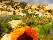 Mojave National Reserve