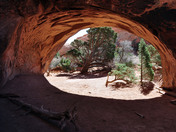 Arches National Park