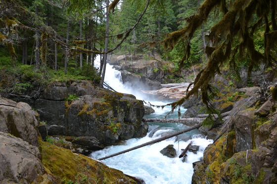 Mount Rainier