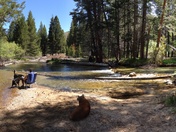 Robinson Creek South