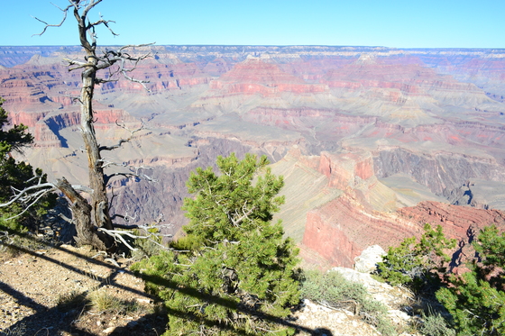Grand Canyon National Park