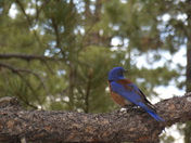 Bryce Canyon National Park
