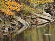 Great Smoky Mountain National Park