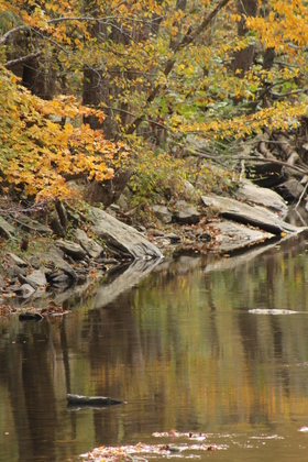 Great Smoky Mountain National Park