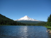 Mount Hood National Forest