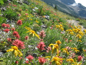 Glacier National Park