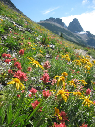 Glacier National Park