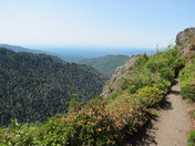 Smokie Mountain National Park