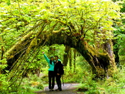 Olympic National Park