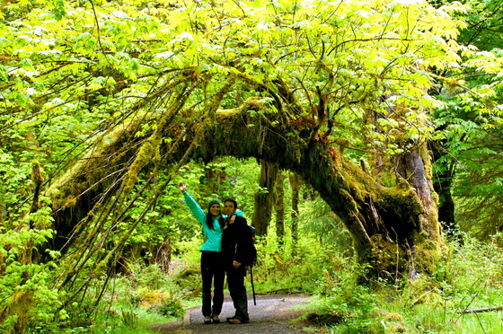Olympic National Park