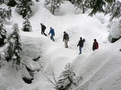 Mt. Baker-Snoqualmie National Forest