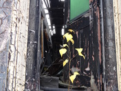 Steamtown National Historic Park