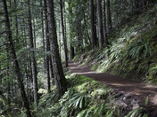 Columbia River Gorge