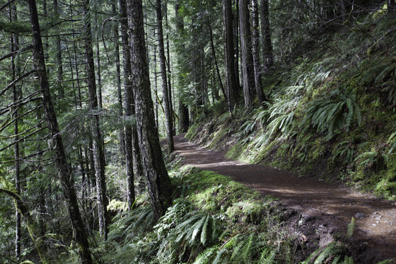Columbia River Gorge