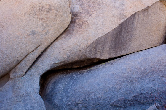 Joshua Tree National Park
