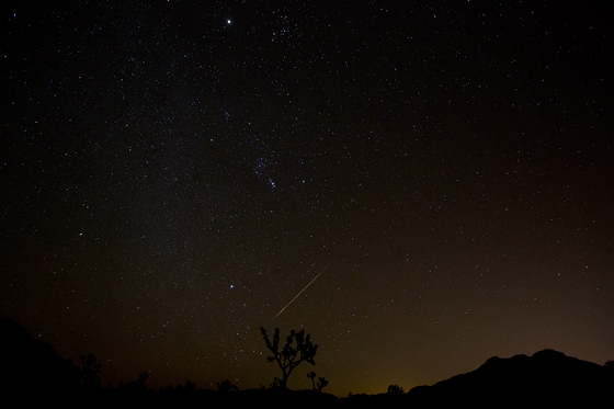 Joshua Tree National Park