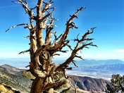 Death Valley National Park