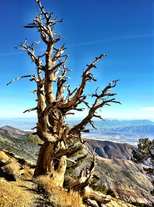 Death Valley National Park