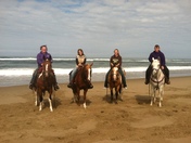 Wild Mare Horse Camp