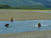 Katmai Park and Wilderness Area, AK