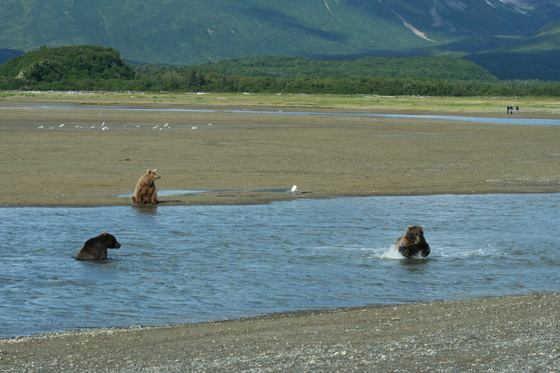 Katmai Park and Wilderness Area, AK