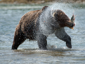 Katmai National Park & Preserve
