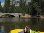 Yosemite National Park