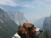 Yosemite National Park