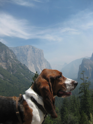 Yosemite National Park