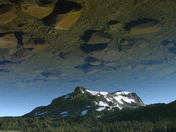 Inyo National forest