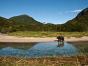Denali National Park, Alaska