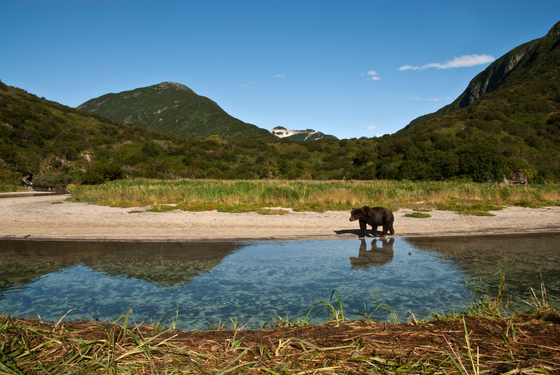 Denali National Park, Alaska