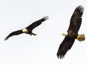 Kenai Fjords National Park, Alaska