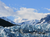 Glacier Bat National Park