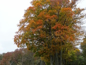 Shenandoah National Park