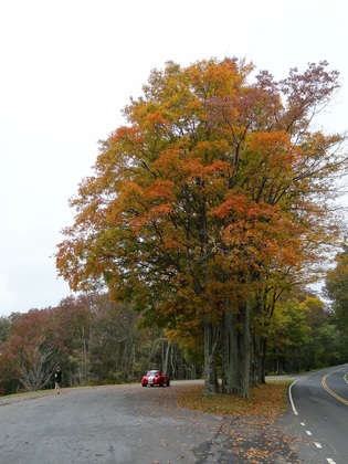 Shenandoah National Park